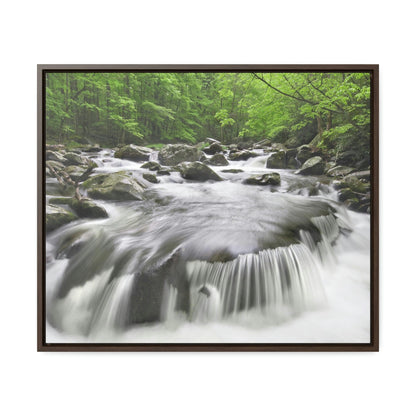 Horizontal Framed Premium Gallery Wrap Canvas - Celebrating the Great Smoky Mountain National Park - Green Forest Home