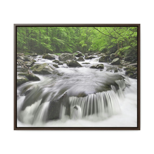 Horizontal Framed Premium Gallery Wrap Canvas - Celebrating the Great Smoky Mountain National Park - Green Forest Home