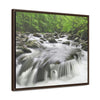 Horizontal Framed Premium Gallery Wrap Canvas - Celebrating the Great Smoky Mountain National Park - Green Forest Home
