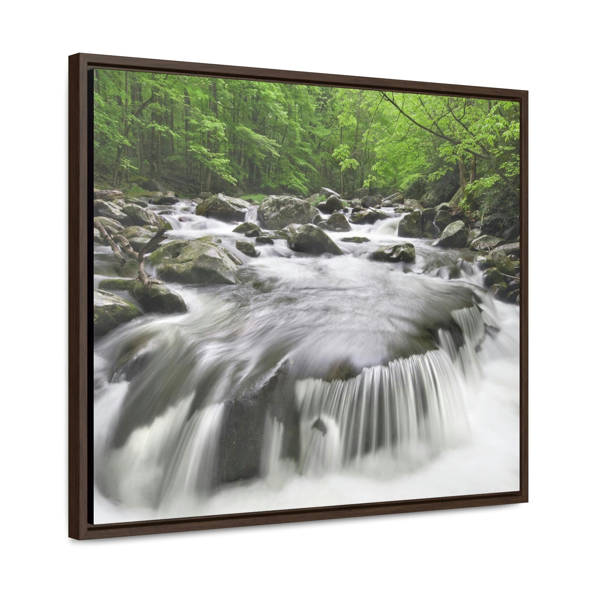 Horizontal Framed Premium Gallery Wrap Canvas - Celebrating the Great Smoky Mountain National Park - Green Forest Home