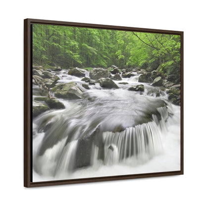 Horizontal Framed Premium Gallery Wrap Canvas - Celebrating the Great Smoky Mountain National Park - Green Forest Home