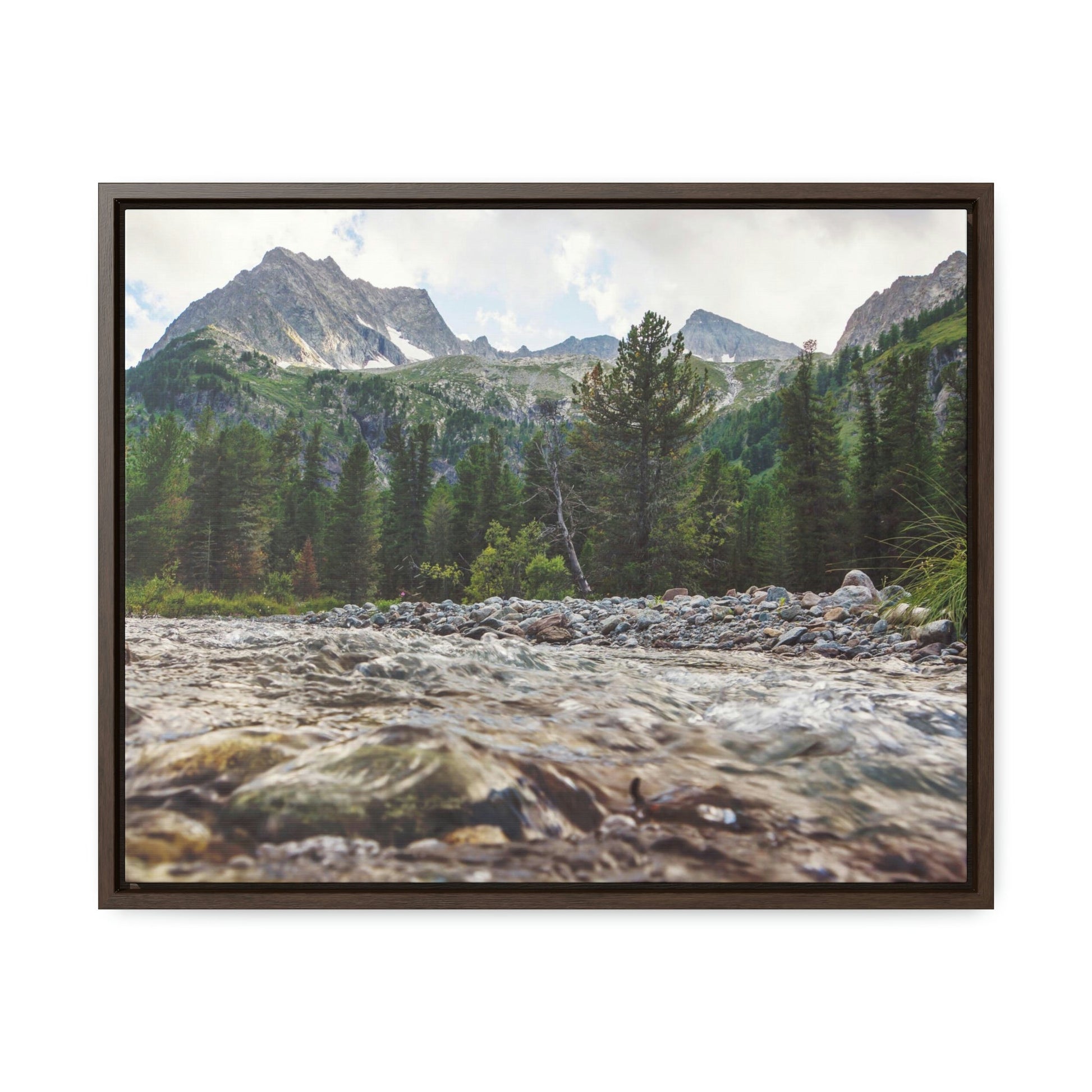 Horizontal Framed Premium Gallery Wrap Canvas - Celebrating the Great Smoky Mountain National Park - Green Forest Home