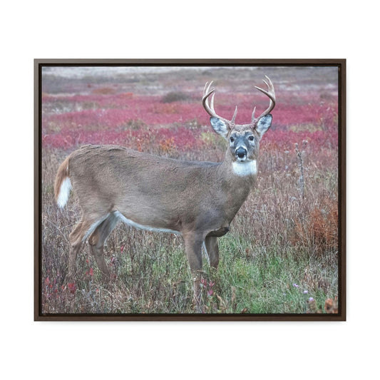 Horizontal Framed Premium Gallery Wrap Canvas - Celebrating the Great Smoky Mountain National Park - Green Forest Home