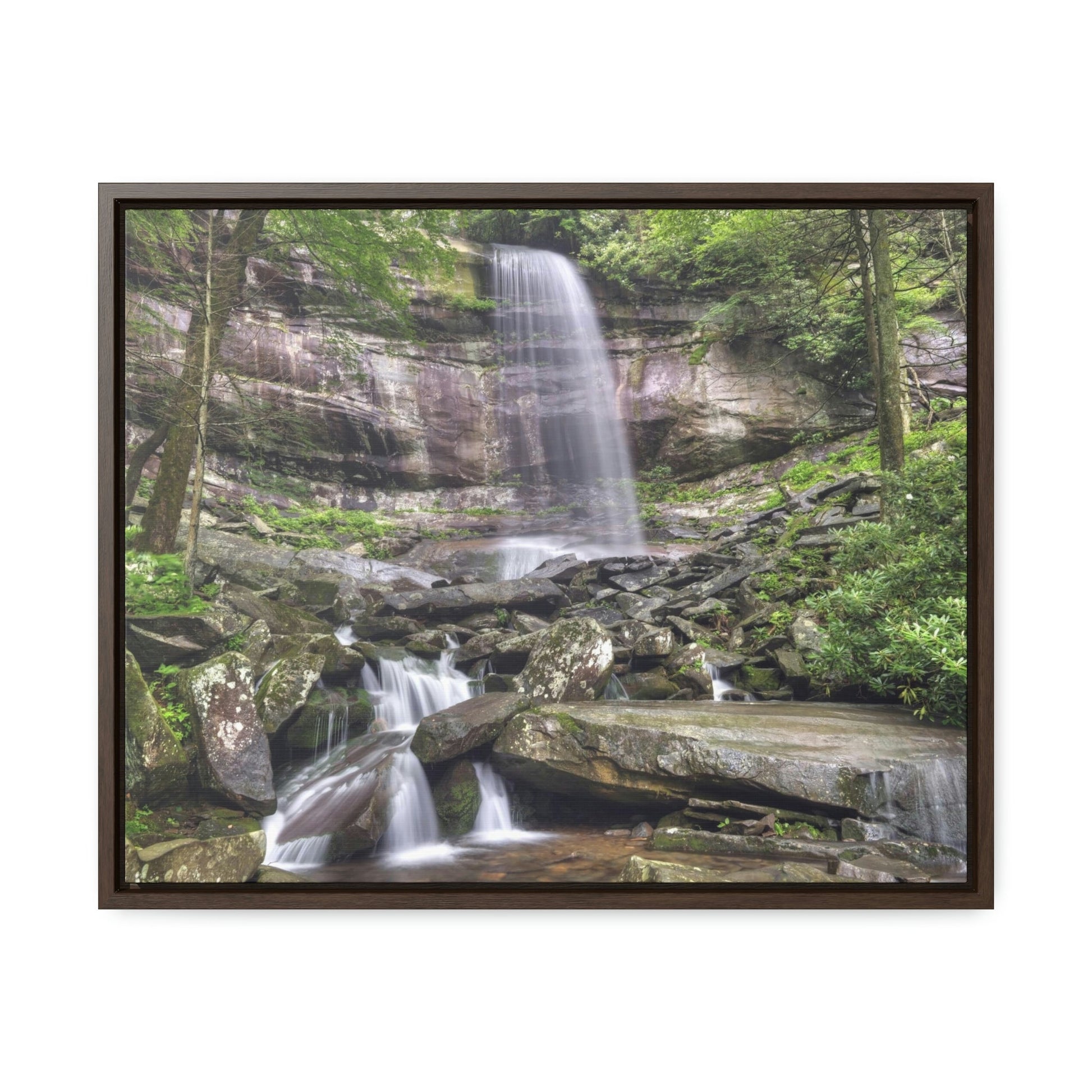 Horizontal Framed Premium Gallery Wrap Canvas - Celebrating the Great Smoky Mountain National Park - Green Forest Home