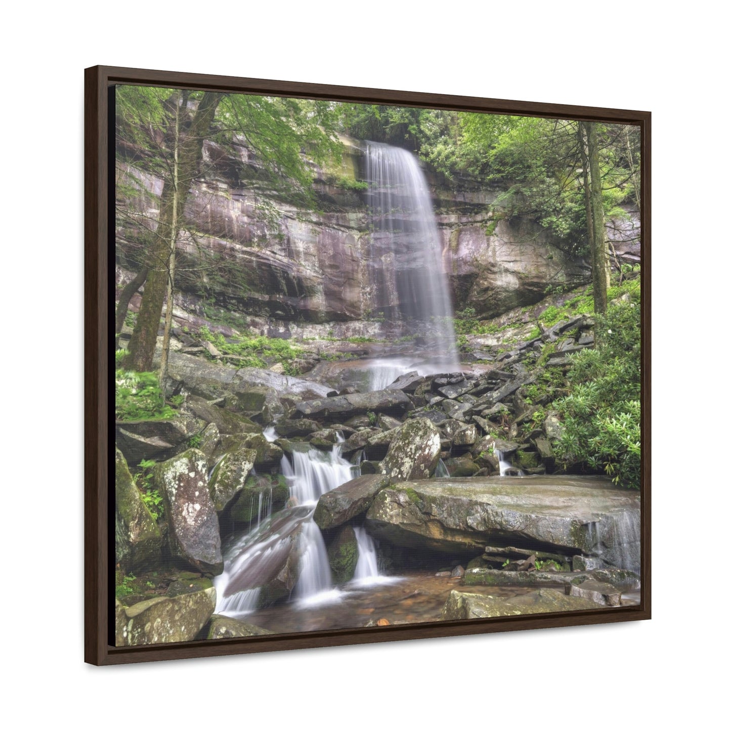 Horizontal Framed Premium Gallery Wrap Canvas - Celebrating the Great Smoky Mountain National Park - Green Forest Home