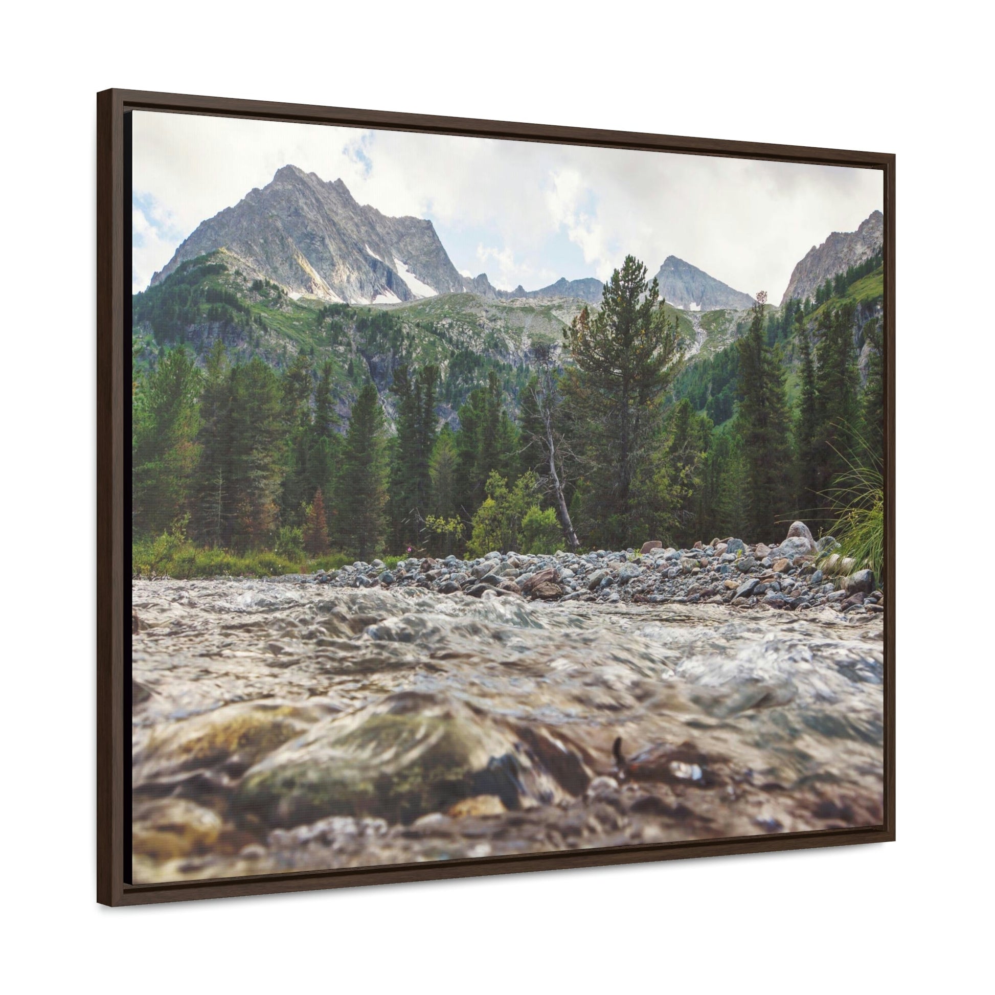 Horizontal Framed Premium Gallery Wrap Canvas - Celebrating the Great Smoky Mountain National Park - Green Forest Home