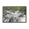 Horizontal Framed Premium Gallery Wrap Canvas - Celebrating the Great Smoky Mountain National Park - Green Forest Home