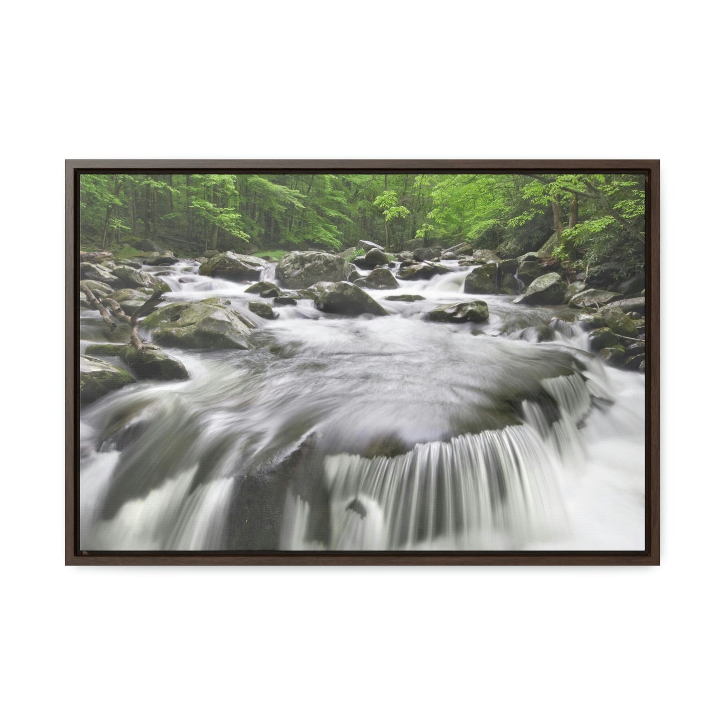 Horizontal Framed Premium Gallery Wrap Canvas - Celebrating the Great Smoky Mountain National Park - Green Forest Home