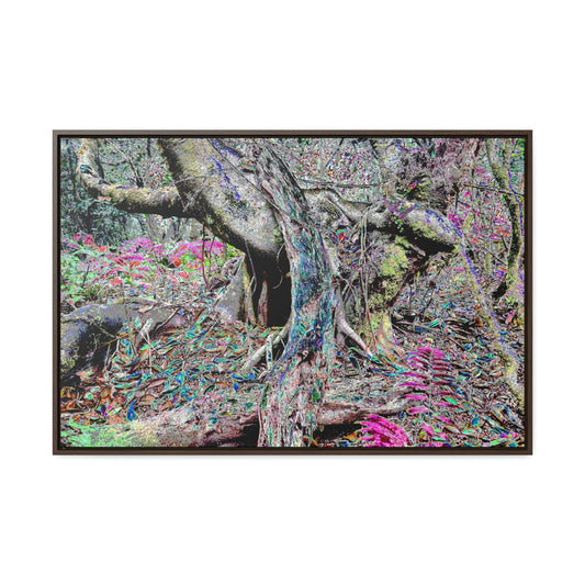 Horizontal Framed Premium Gallery Wrap Canvas - Color Mapped - 14 KM TRADEWINDS TRAIL - EL YUNQUE RAINFOREST PR EXPLORATION ON 2013-02-01 - OLD PAL RESTS ON TREE WHILE IT HOLDS ON ANOTHER DECAYING TREE AS BASE - THE CLOUD FOREST - BEFORE MARIA - Green Forest Home