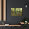 Horizontal Framed Premium Gallery Wrap Canvas - Holy Spirit River explorations - El Yunque rainforest PR - Green Forest Home