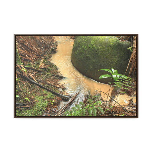 Horizontal Framed Premium Gallery Wrap Canvas - Holy Spirit River explorations - El Yunque rainforest PR - Green Forest Home