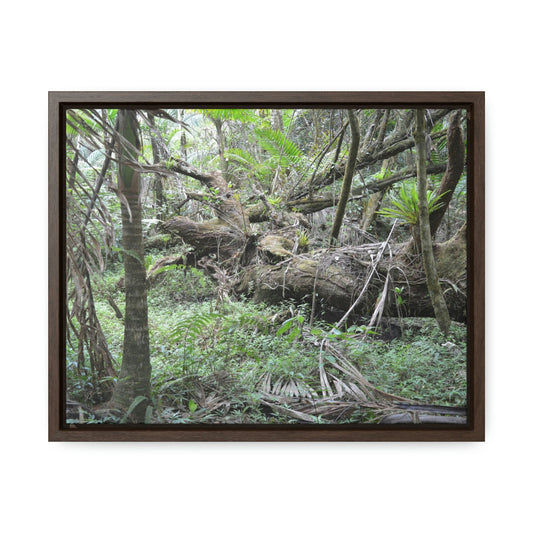 Horizontal Framed Premium Gallery Wrap Canvas - Holy Spirit River explorations - El Yunque rainforest PR - Green Forest Home