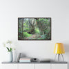 Horizontal Framed Premium Gallery Wrap Canvas - Holy Spirit River explorations - El Yunque rainforest PR - Green Forest Home