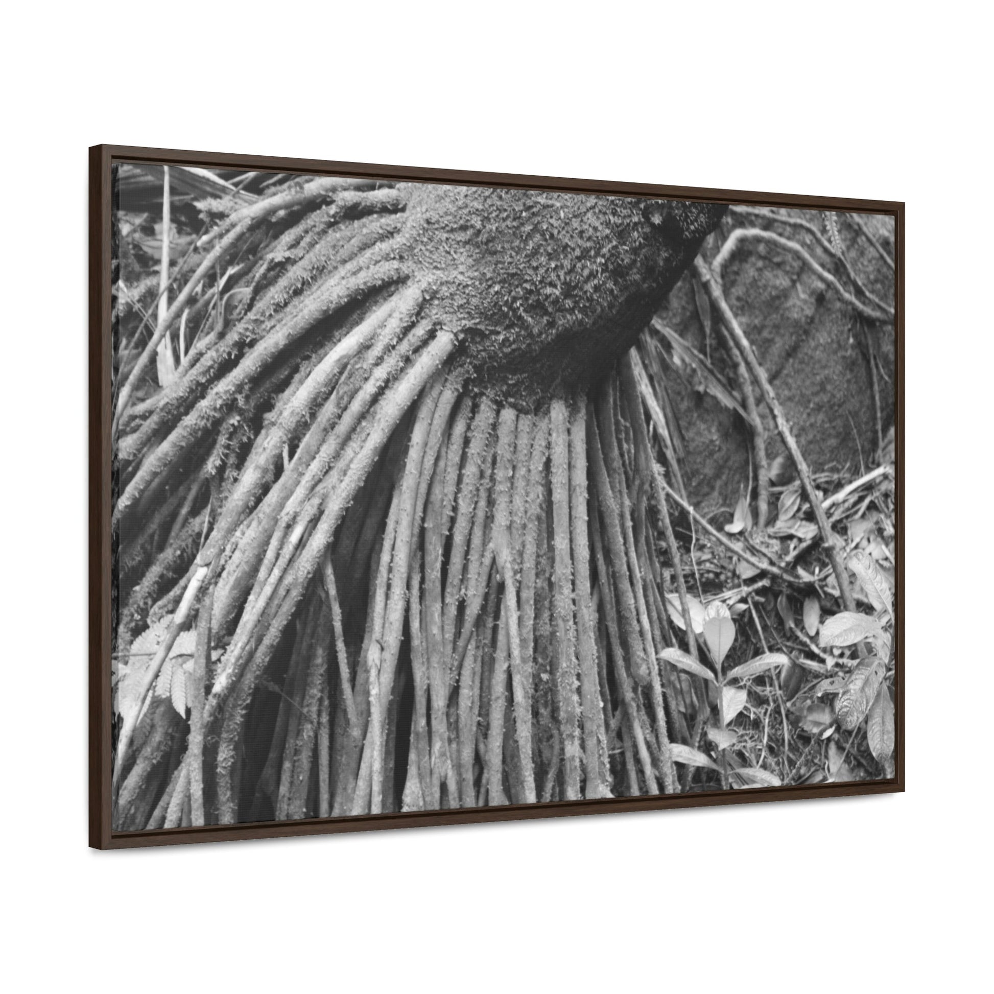 Horizontal Framed Premium Gallery Wrap Canvas - Holy Spirit River explorations - El Yunque rainforest PR - Green Forest Home