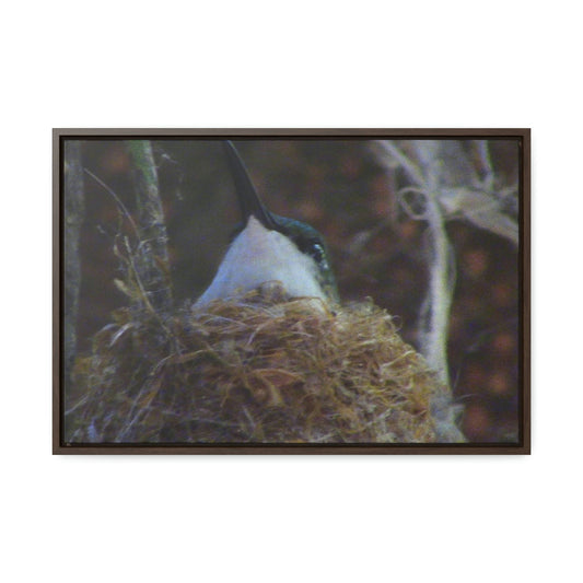 Horizontal Framed Premium Gallery Wrap Canvas - Holy Spirit River explorations - El Yunque rainforest PR - Green Forest Home