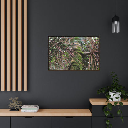 Horizontal Framed Premium Gallery Wrap Canvas - Holy Spirit River explorations - El Yunque rainforest PR - Green Forest Home