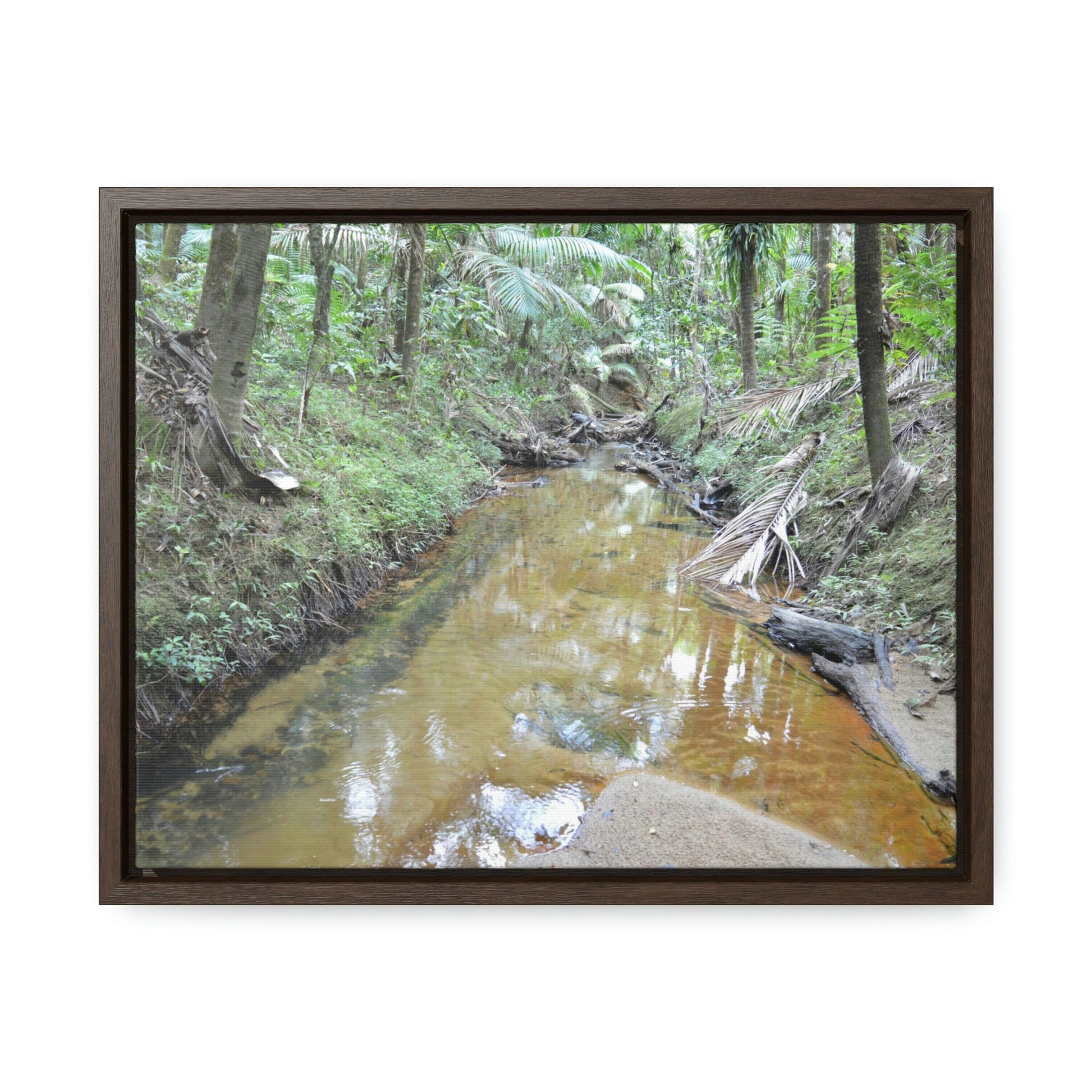 Horizontal Framed Premium Gallery Wrap Canvas - Holy Spirit River explorations - El Yunque rainforest PR - Green Forest Home