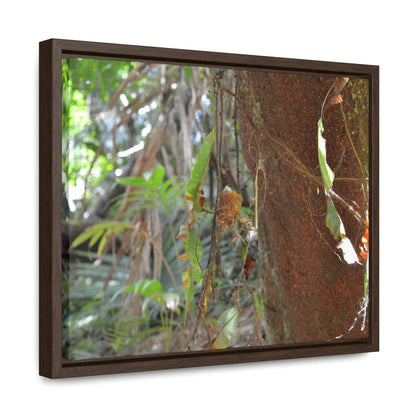 Horizontal Framed Premium Gallery Wrap Canvas - Holy Spirit River explorations - El Yunque rainforest PR - Green Forest Home