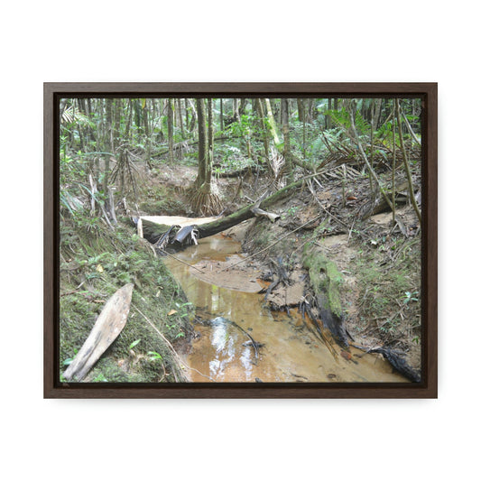 Horizontal Framed Premium Gallery Wrap Canvas - Holy Spirit River explorations - El Yunque rainforest PR - Green Forest Home