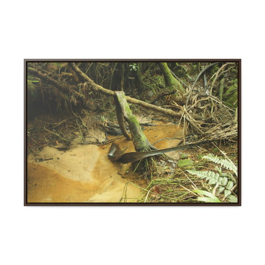 Horizontal Framed Premium Gallery Wrap Canvas - Holy Spirit River explorations - El Yunque rainforest PR - Green Forest Home