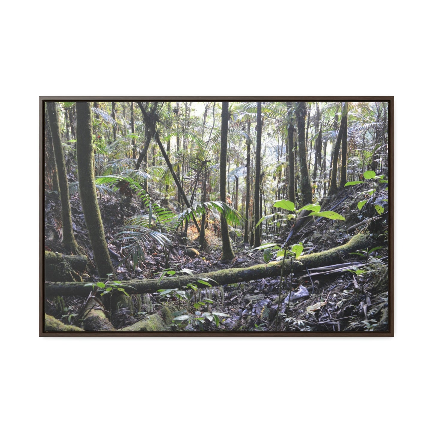 Horizontal Framed Premium Gallery Wrap Canvas - Holy Spirit River explorations - El Yunque rainforest PR - Green Forest Home
