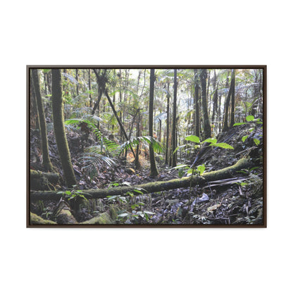 Horizontal Framed Premium Gallery Wrap Canvas - Holy Spirit River explorations - El Yunque rainforest PR - Green Forest Home