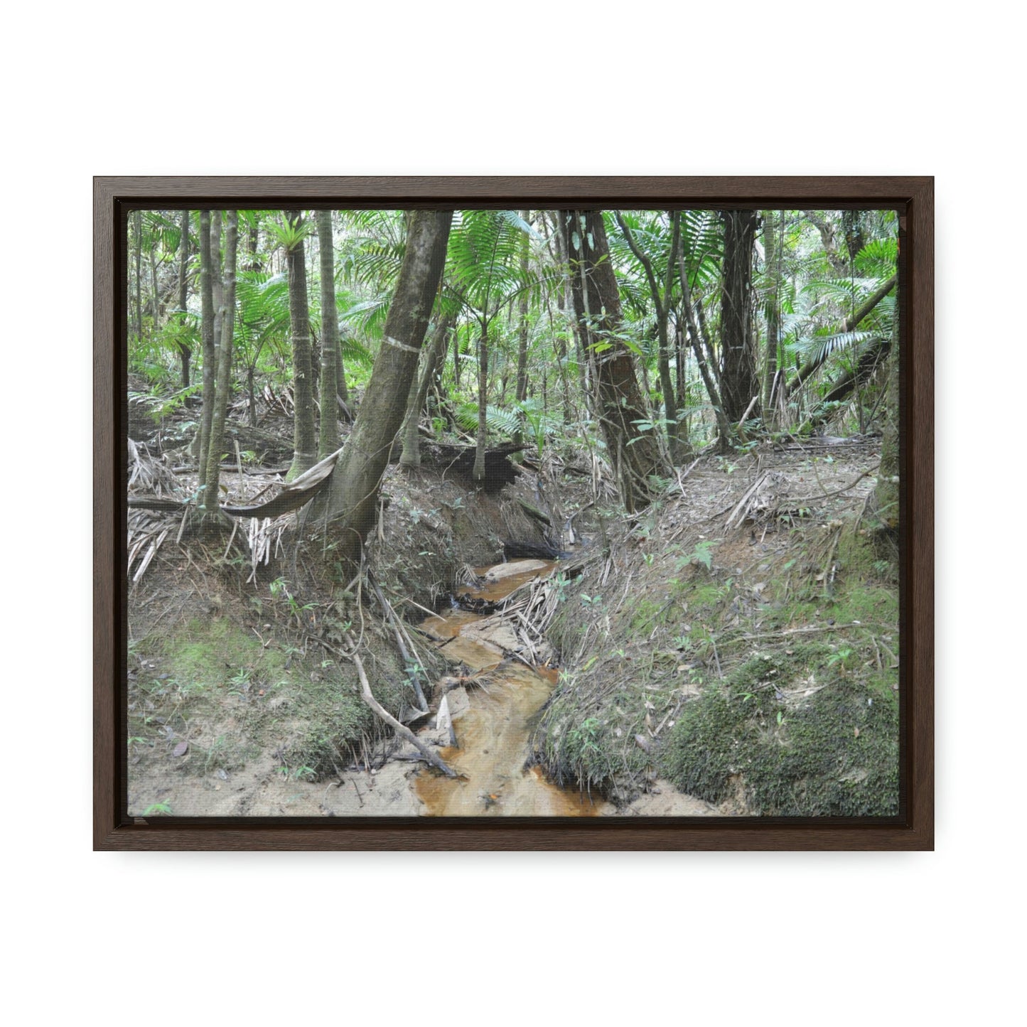 Horizontal Framed Premium Gallery Wrap Canvas - Holy Spirit River explorations - El Yunque rainforest PR - Green Forest Home