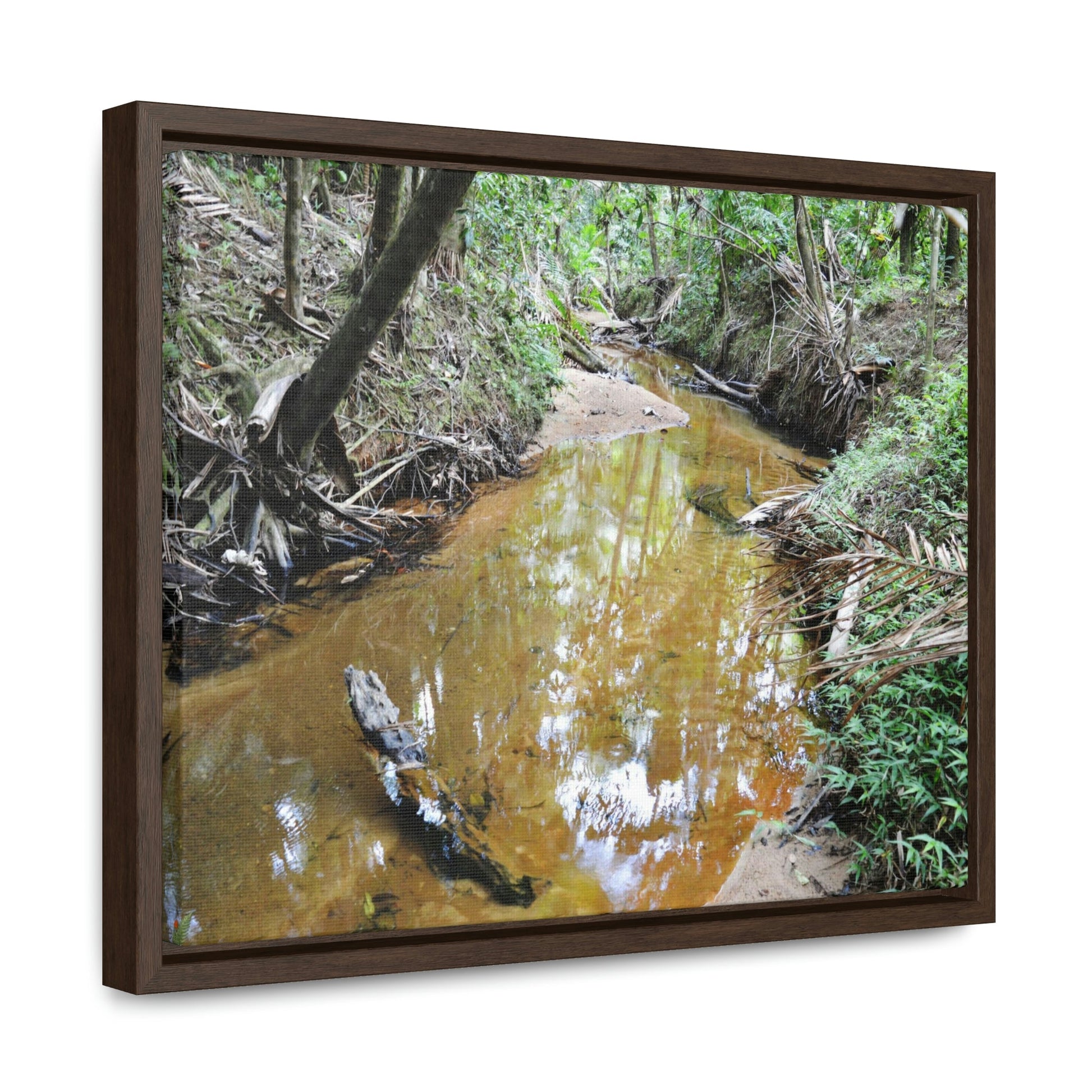 Horizontal Framed Premium Gallery Wrap Canvas - Holy Spirit River explorations - El Yunque rainforest PR - Green Forest Home