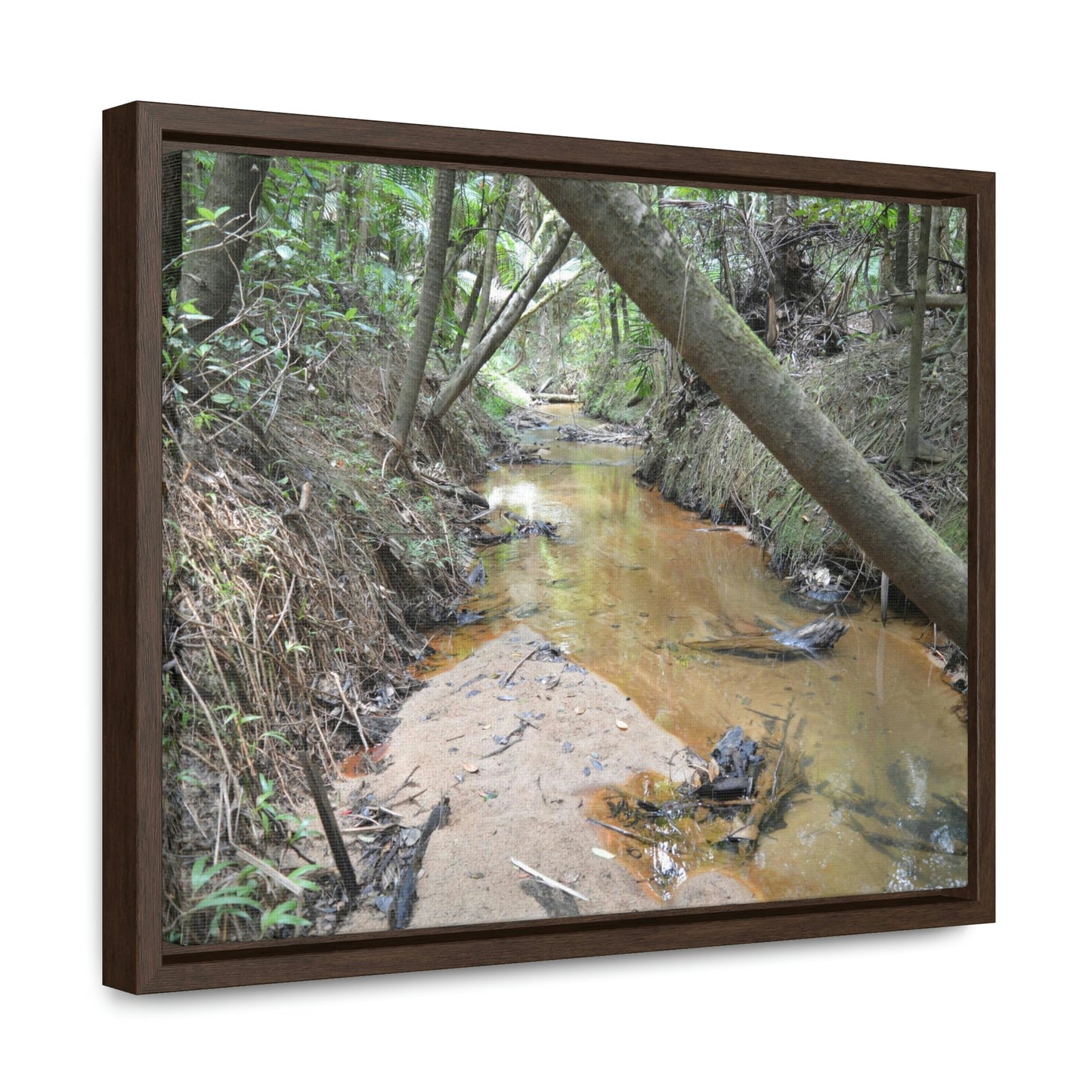 Horizontal Framed Premium Gallery Wrap Canvas - Holy Spirit River explorations - El Yunque rainforest PR - Green Forest Home