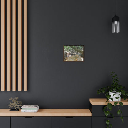 Horizontal Framed Premium Gallery Wrap Canvas - Holy Spirit River explorations - El Yunque rainforest PR - Green Forest Home