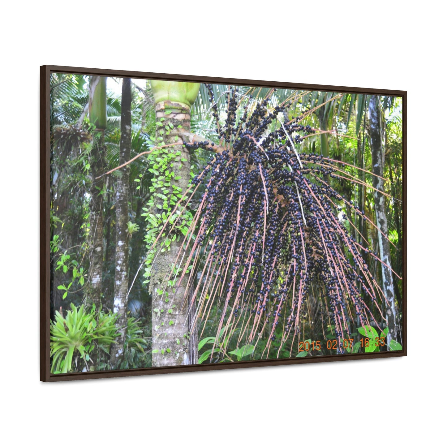 Horizontal Framed Premium Gallery Wrap Canvas - Holy Spirit River explorations - El Yunque rainforest PR - Green Forest Home