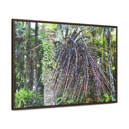 Horizontal Framed Premium Gallery Wrap Canvas - Holy Spirit River explorations - El Yunque rainforest PR - Green Forest Home
