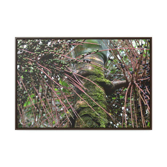 Horizontal Framed Premium Gallery Wrap Canvas - Holy Spirit River explorations - El Yunque rainforest PR - Green Forest Home
