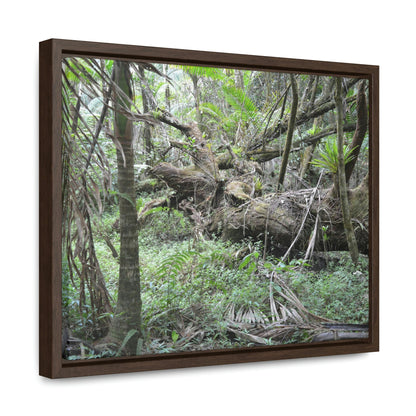 Horizontal Framed Premium Gallery Wrap Canvas - Holy Spirit River explorations - El Yunque rainforest PR - Green Forest Home