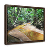 Horizontal Framed Premium Gallery Wrap Canvas - Holy Spirit River explorations - El Yunque rainforest PR - Green Forest Home