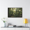Horizontal Framed Premium Gallery Wrap Canvas - Holy Spirit River explorations - El Yunque rainforest PR - Green Forest Home