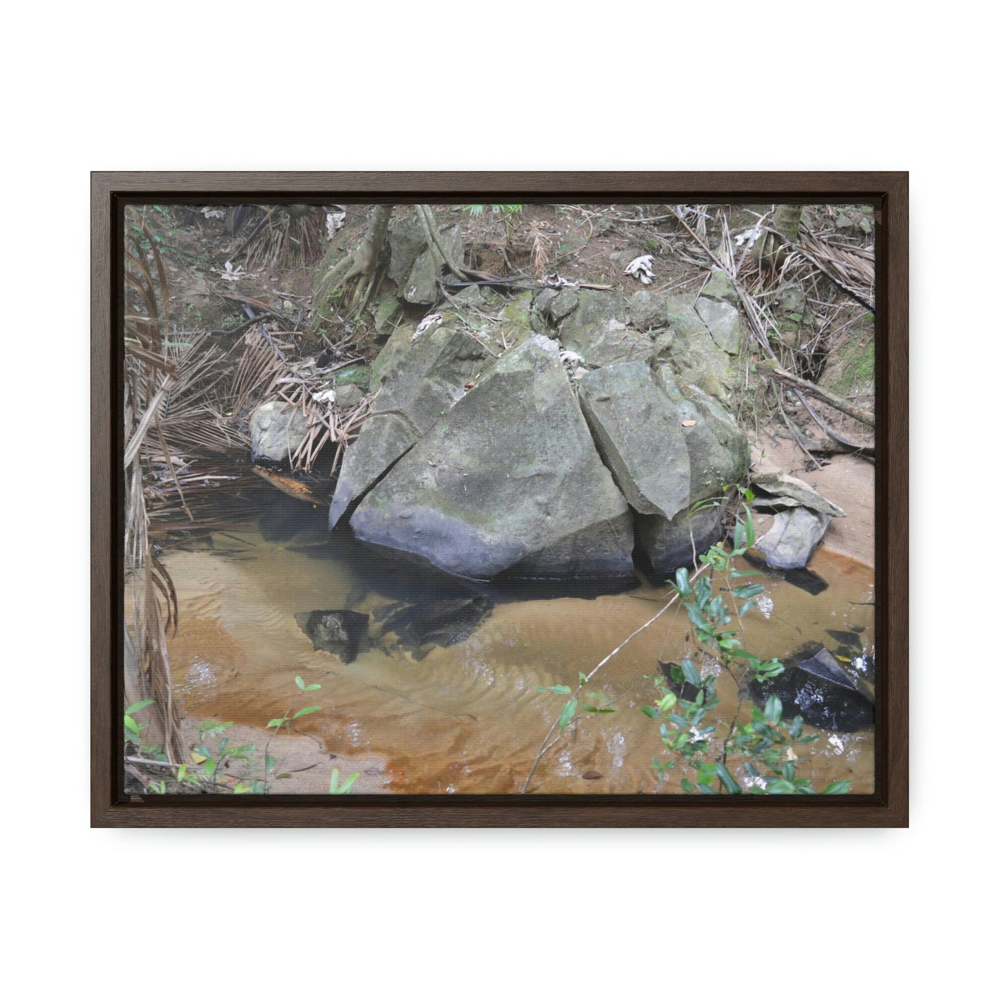 Horizontal Framed Premium Gallery Wrap Canvas - Holy Spirit River explorations - El Yunque rainforest PR - Green Forest Home