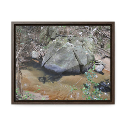 Horizontal Framed Premium Gallery Wrap Canvas - Holy Spirit River explorations - El Yunque rainforest PR - Green Forest Home