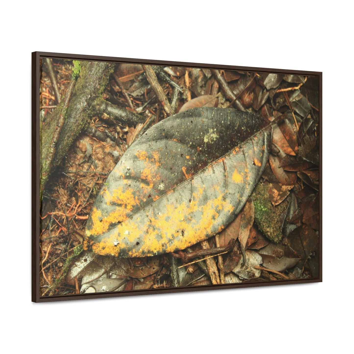 Horizontal Framed Premium Gallery Wrap Canvas - Holy Spirit River explorations - El Yunque rainforest PR - Green Forest Home