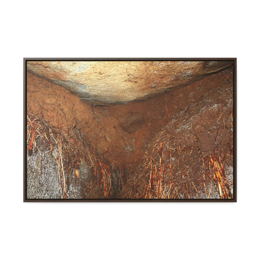 Horizontal Framed Premium Gallery Wrap Canvas - Holy Spirit River explorations - El Yunque rainforest PR - Green Forest Home