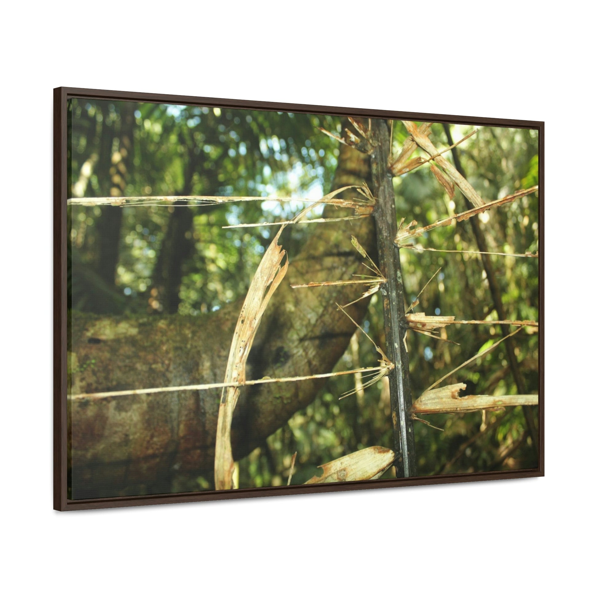 Horizontal Framed Premium Gallery Wrap Canvas - Holy Spirit River explorations - El Yunque rainforest PR - Green Forest Home