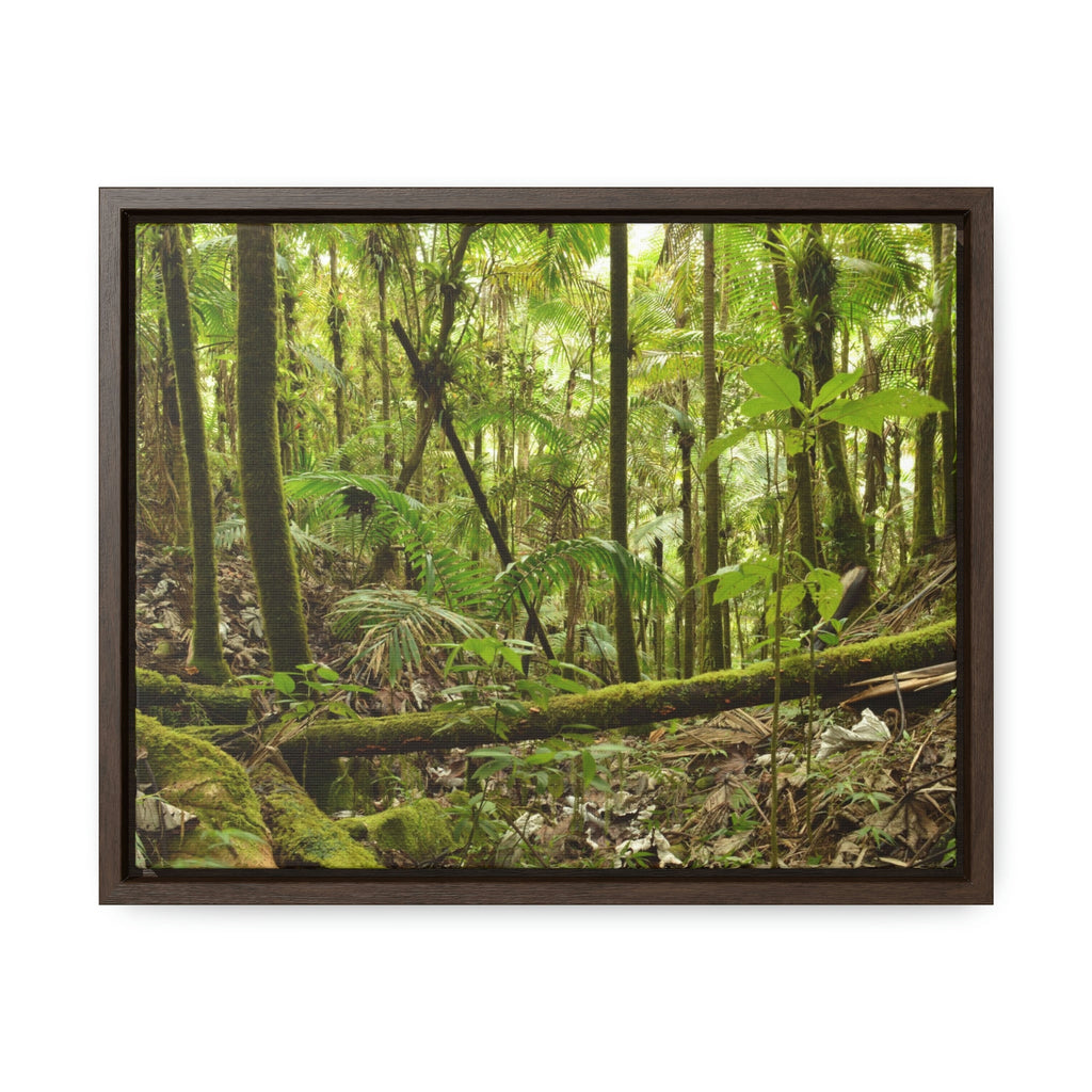 Horizontal Framed Premium Gallery Wrap Canvas - Holy Spirit River explorations - El Yunque rainforest PR - Green Forest Home