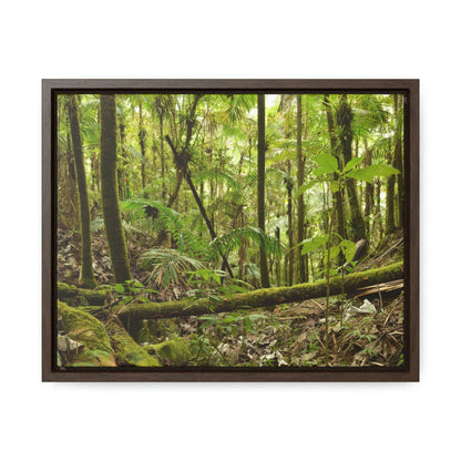 Horizontal Framed Premium Gallery Wrap Canvas - Holy Spirit River explorations - El Yunque rainforest PR - Green Forest Home