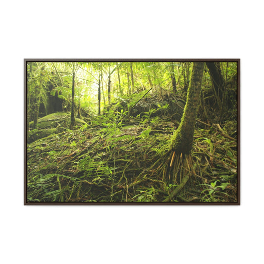 Horizontal Framed Premium Gallery Wrap Canvas - Holy Spirit River explorations - El Yunque rainforest PR - Green Forest Home