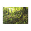Horizontal Framed Premium Gallery Wrap Canvas - Holy Spirit River explorations - El Yunque rainforest PR - Green Forest Home