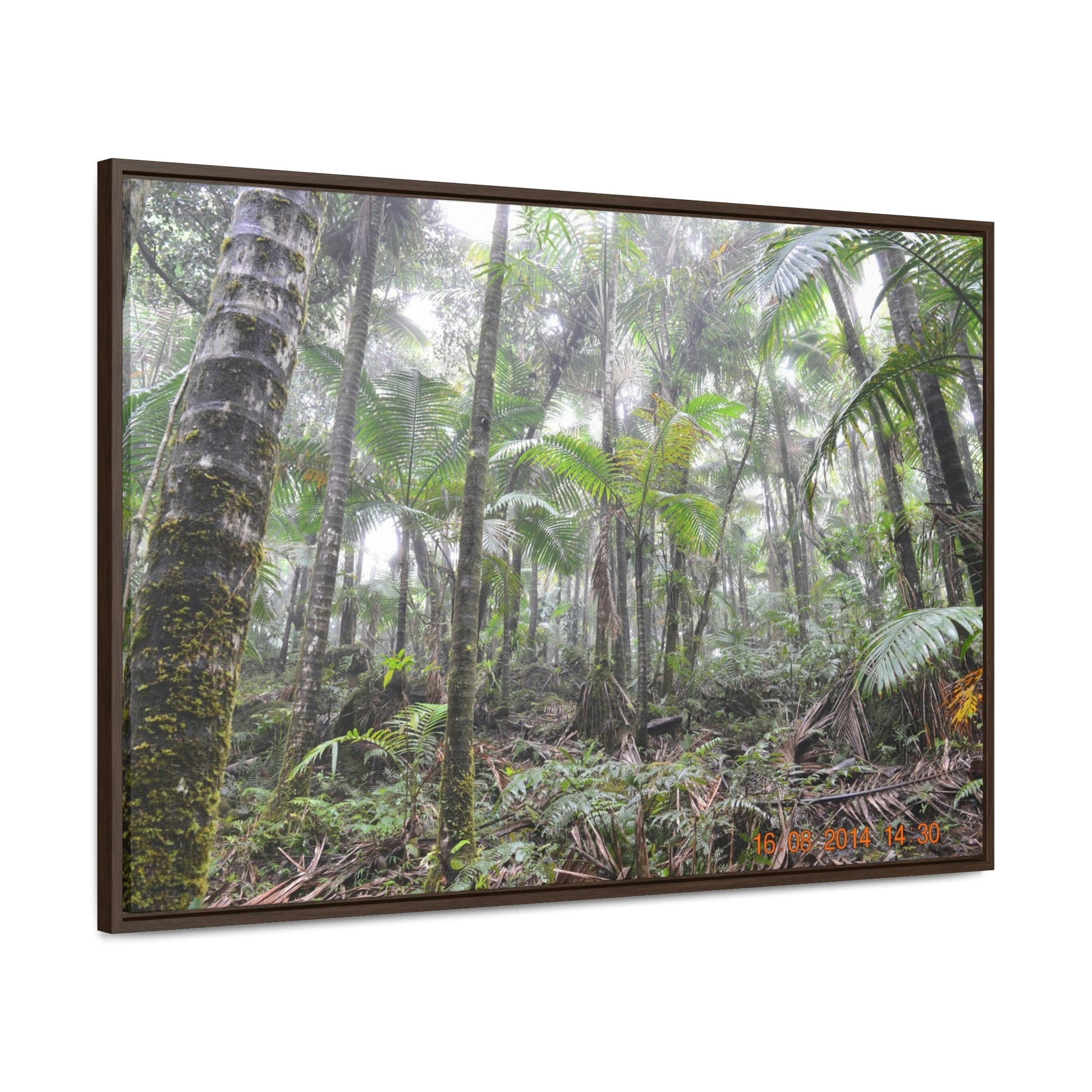 Horizontal Framed Premium Gallery Wrap Canvas - Holy Spirit River explorations - El Yunque rainforest PR - Green Forest Home