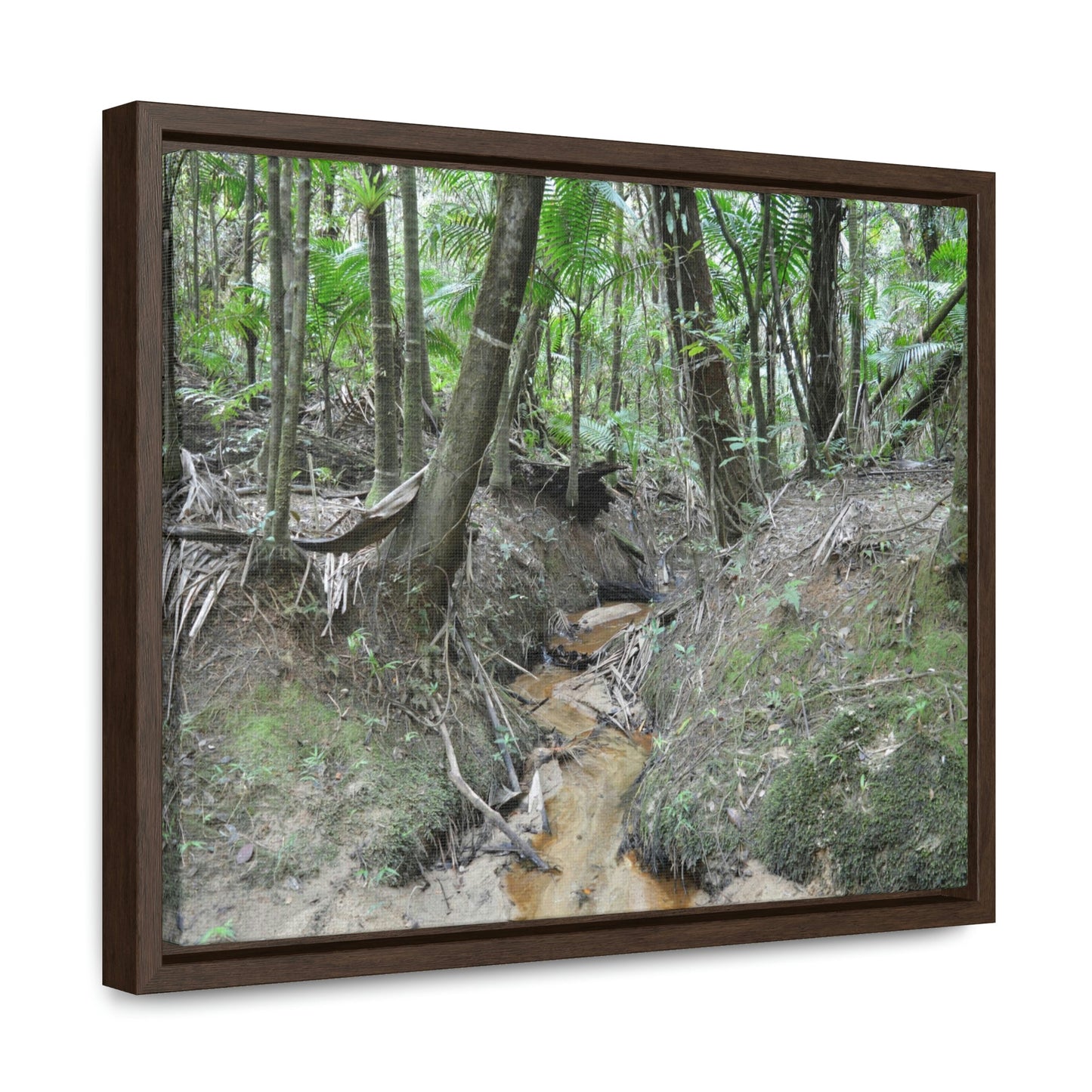 Horizontal Framed Premium Gallery Wrap Canvas - Holy Spirit River explorations - El Yunque rainforest PR - Green Forest Home