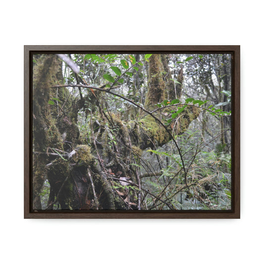Horizontal Framed Premium Gallery Wrap Canvas - Holy Spirit River explorations - El Yunque rainforest PR - Green Forest Home