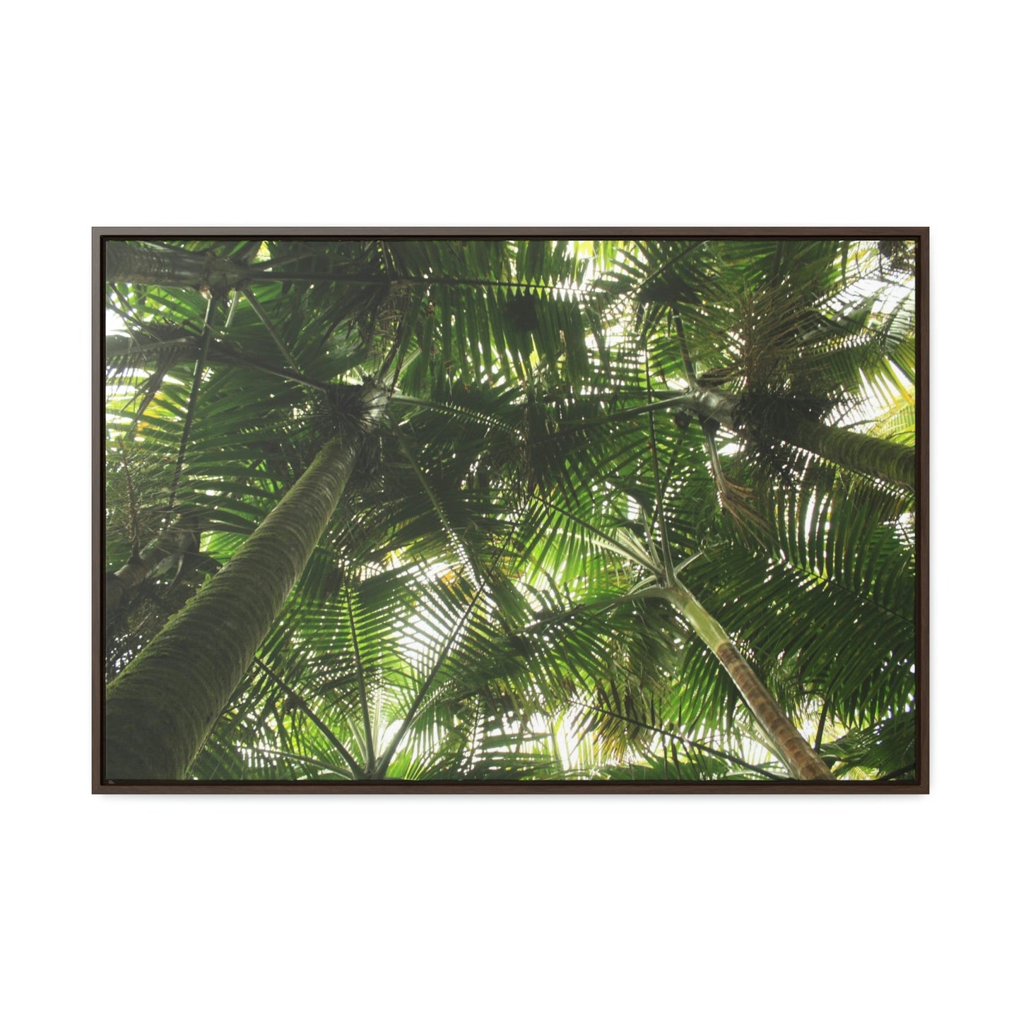 Horizontal Framed Premium Gallery Wrap Canvas - Holy Spirit River explorations - El Yunque rainforest PR - Green Forest Home