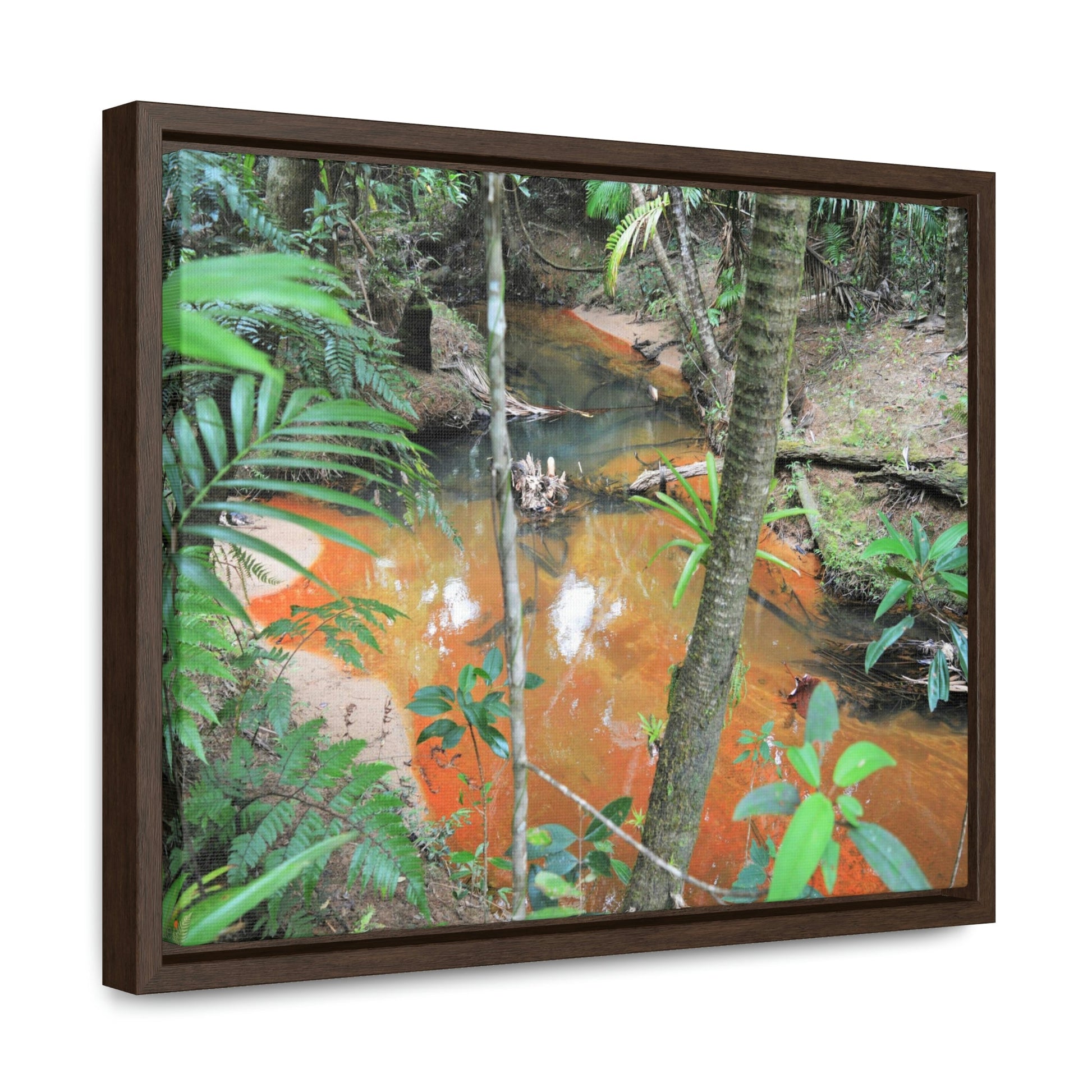Horizontal Framed Premium Gallery Wrap Canvas - Holy Spirit River explorations - El Yunque rainforest PR - Green Forest Home